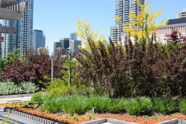 Green roof industry had double-digit growth in 2016