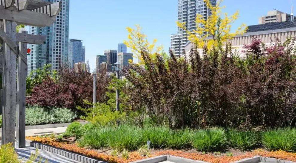 Green roof industry had double-digit growth in 2016