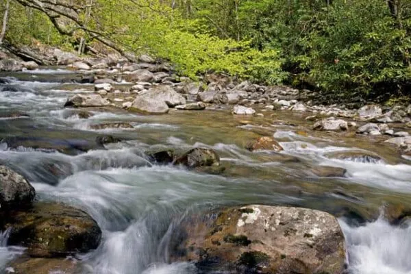Maryland agencies partner to restore stream