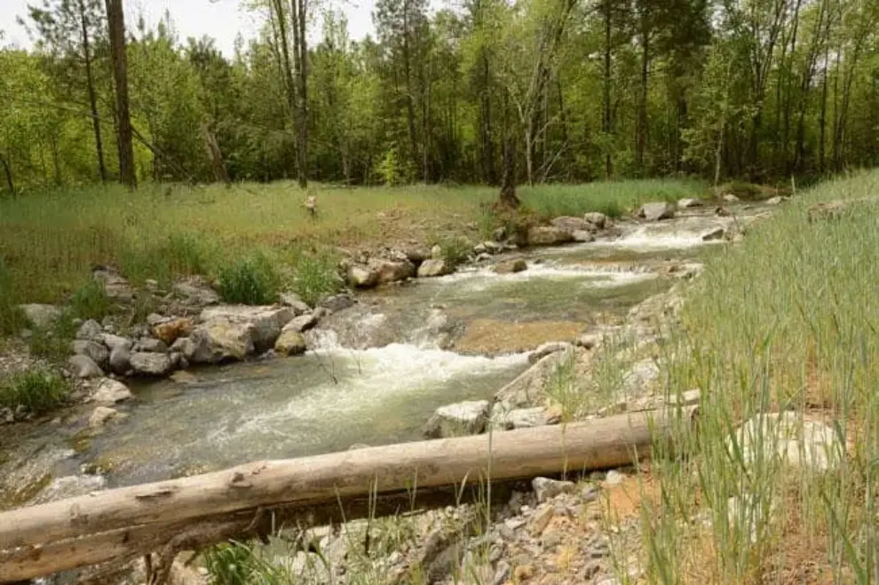 Stantec receives Engineering Excellence Award for stream restoration