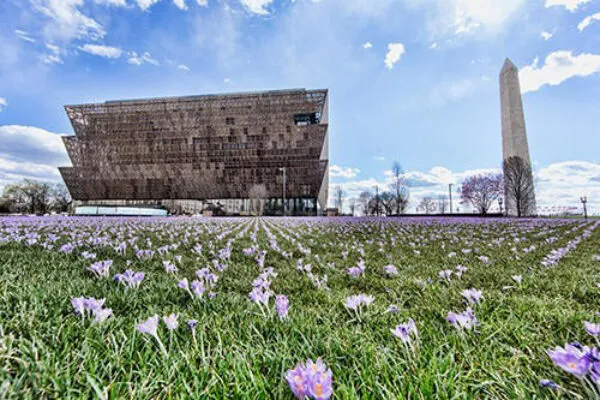 National Museum of African American History and Culture wins steel design award