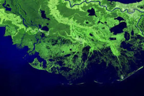 A satellite image shows the Mississippi River Delta coastal region. | Research sheds new light on forces that threaten sensitive coastlines