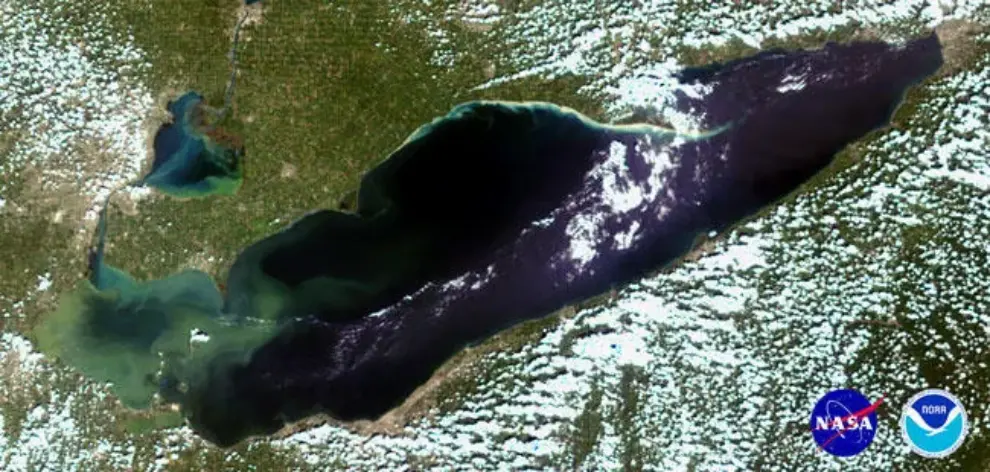 Significant summer algal bloom predicted for western Lake Erie