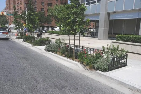 NYC completes construction of 115 rain gardens in Flushing