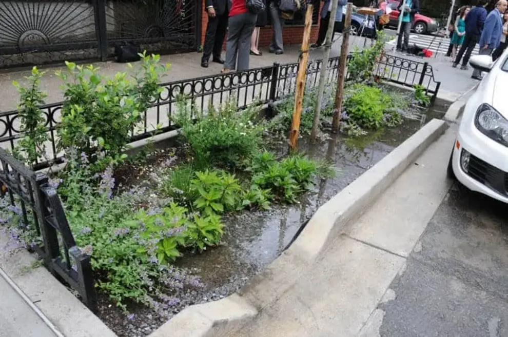 Report documents stormwater management efforts in cities across the globe
