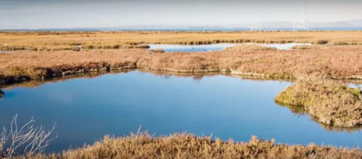 Oro Loma Sanitary District receives award for Outstanding Environmental Project