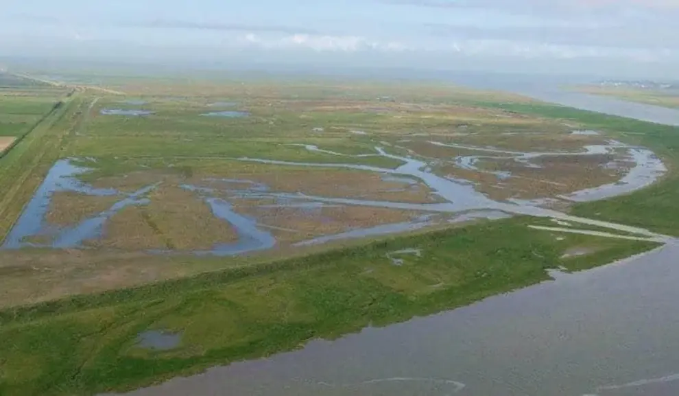 CH2M helps restore UK salt marsh to enhance flood defenses, recreate estuary habitat