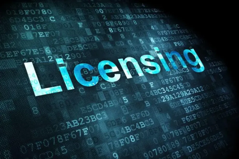 From Pitfall to Profit: The Hidden Potential of Business Licensing