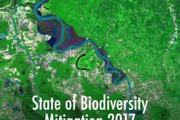 Project developers more than double efforts to protect biodiversity