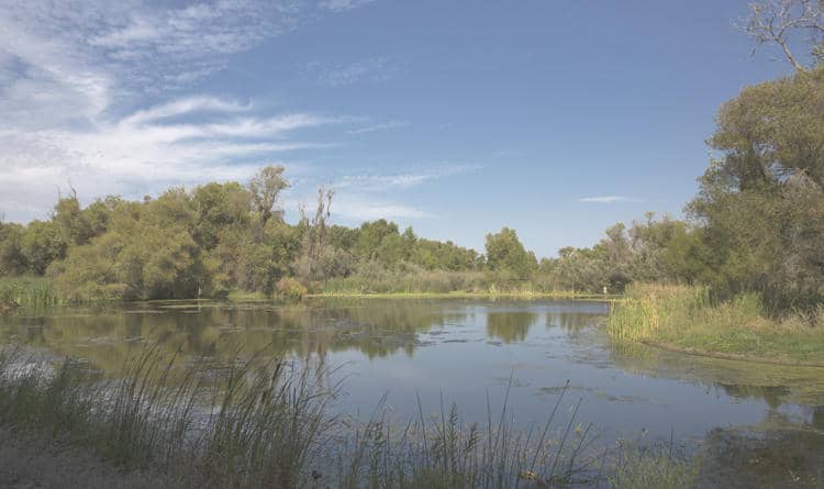 Southern California water board approves two-tunnel WaterFix