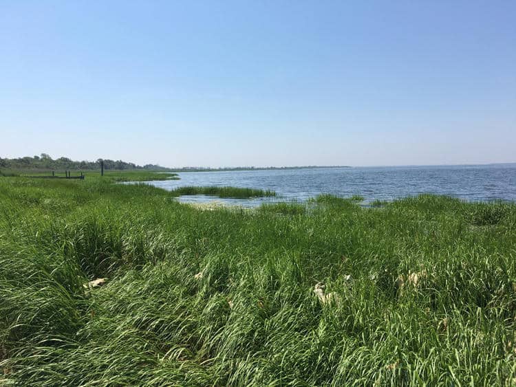 NY DEP announces $400 million Jamaica Bay Improvement Plan - Civil ...