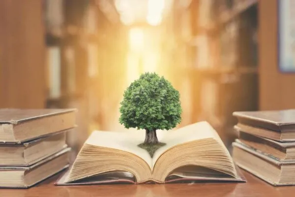 World philosophy day concept with tree of knowledge planting on opening old big book in library full with textbook, stack piles of text archive and blur aisle of bookshelves in school study class room | Concrete Industry Promotes Sustainable Schools Across the Country