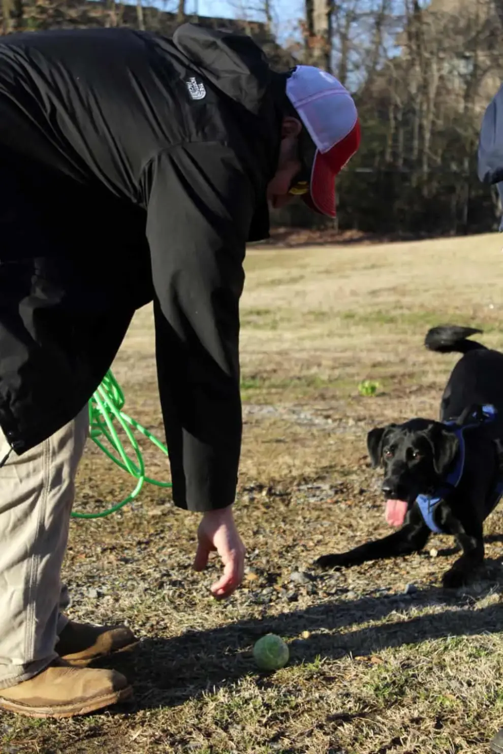 Exclusive Interview with America’s First Water Leak Detection Dog: Coming Soon!