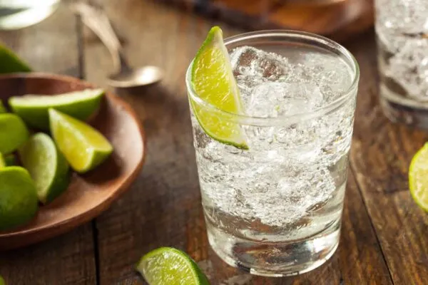 Alcoholic Gin and Tonic with a Lime Garnish | Gin + Tonic Water
