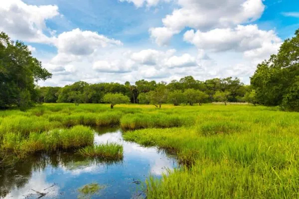 Ecobot Acquires Wetland Delineation Platform WetForm