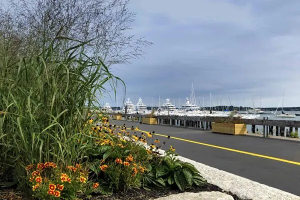 City of Portland unveils pop-up park along downtown waterfront