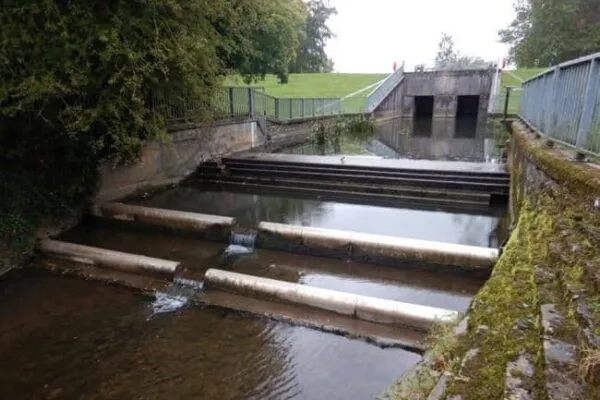 LAND & WATER WINS PROJECT OF WORKS WITH THE ENVIRONMENT AGENCY IN THE SOUTH WEST