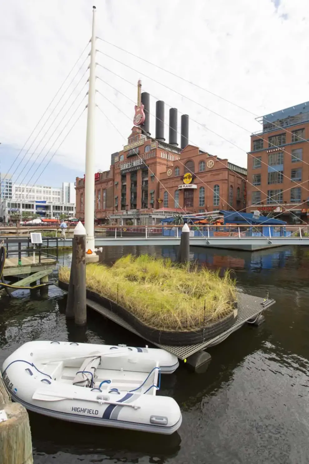 Improving Baltimore Harbor’s Water Quality with Nature-Based Solutions