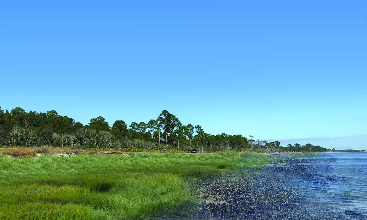 WSP USA Joins VoLo Foundation, Climate Action Leaders  in Launching 2021 Florida Climate Week