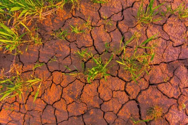 Cracked earth, metaphoric for climate change and global warming, drought conditions | Planning for Climate Change–  Getting Ahead of Coming Infrastructure Growth