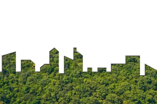 Graphic of City Shape on Forest texture background. Green Building Architecture. | Bowman Expands Building Services and M/E/P Practices Through Acquisition of PCD Engineering, Inc.