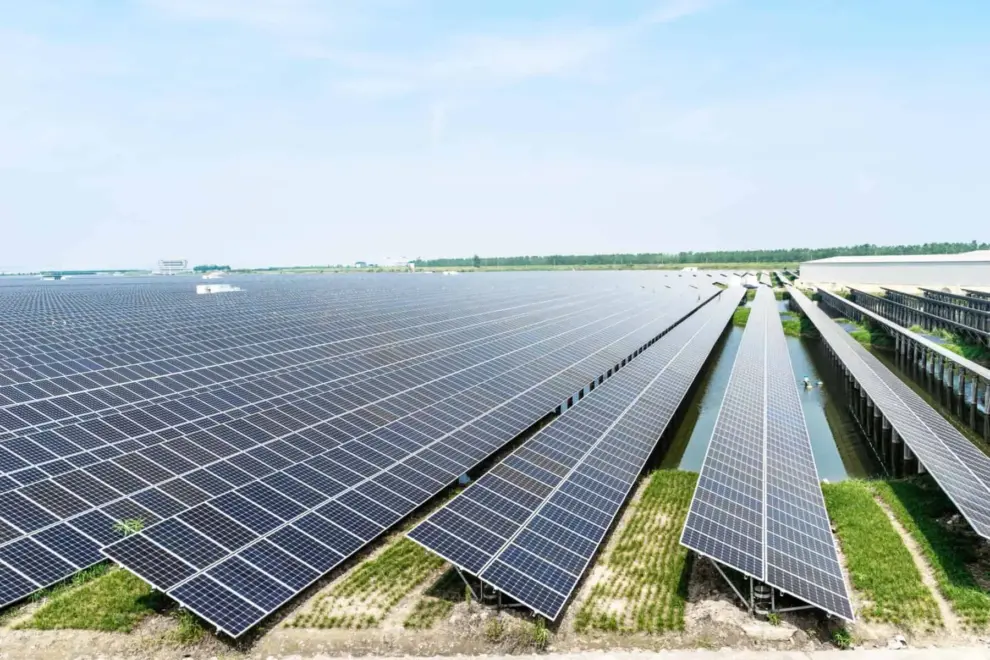 Opportunities and Threats in Utility-Scale Solar Construction
