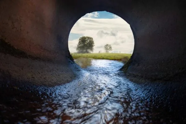 Sewer pipe. Inside view. Meadow and tree in the background | City of Longmont Wins Water Environment Federation’s Project Excellence Award