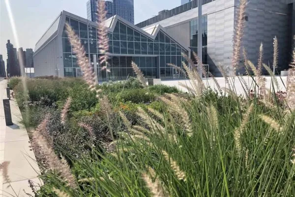 As part of a $1.5 billion expansion, Javits Center opens working rooftop farm and landscaped terrace