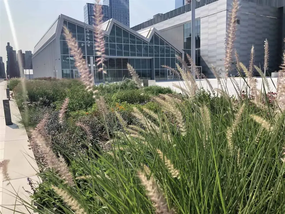 As part of a $1.5 billion expansion, Javits Center opens working rooftop farm and landscaped terrace