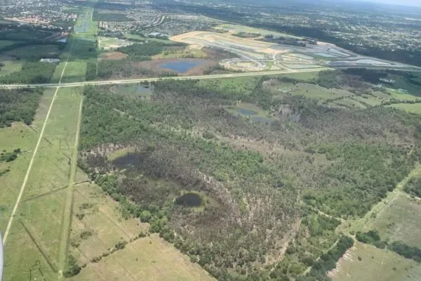 Ecobot Expedites Florida Wetland Delineations