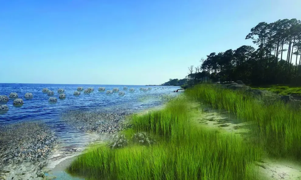 WSP USA and Mote Marine Laboratory Partner to Advance Coastal Restoration and Resilience