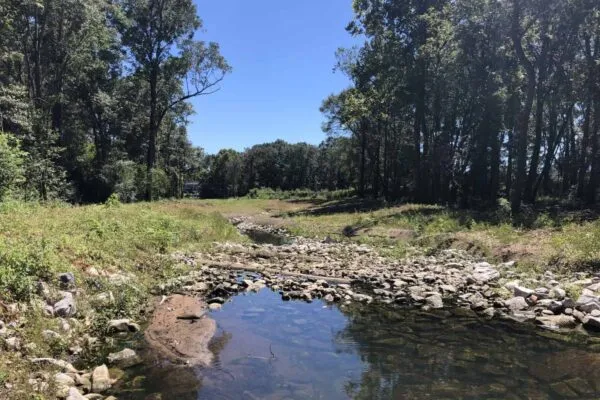 Recently completed creek restoration withstands Hurricane Ida and protects area of Twelve Mile Creek for residents and wildlife