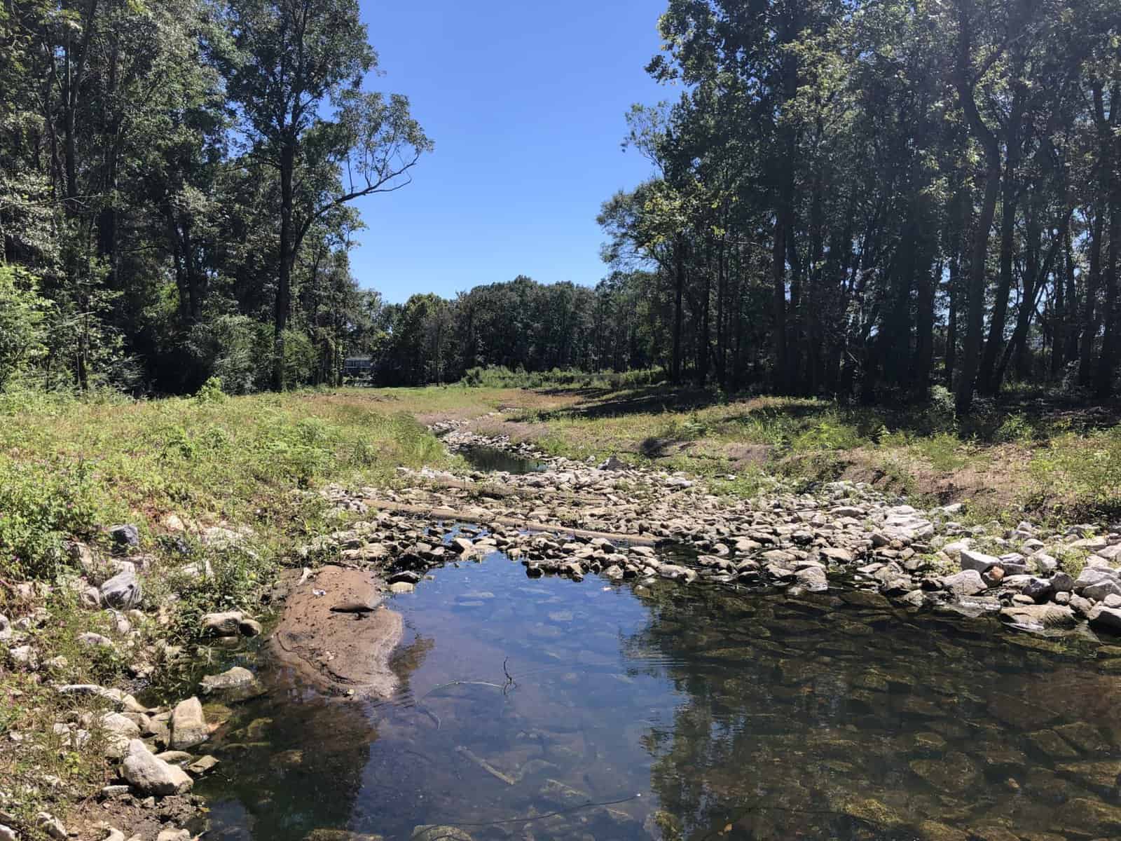 Recently completed creek restoration withstands Hurricane Ida and protects area of Twelve Mile Creek for residents and wildlife
