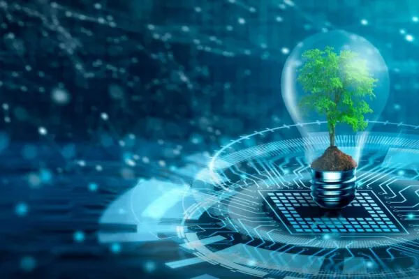 Tree with soil growing on  Light bulb. Digital Convergence and and Technology Convergence. Blue light and network background. Green Computing, Green Technology, Green IT, csr, and IT ethics Concept. | TruHorizon Environmental Solutions Announces Acquisition of Phase Engineering