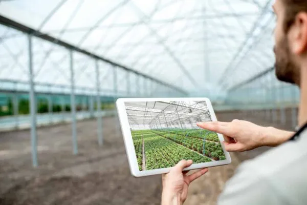 Farmer holding digital tablet with project of the future plantation in the glasshouse | CEA Industries Inc. Announces New Senior Vice President of Corporate Development