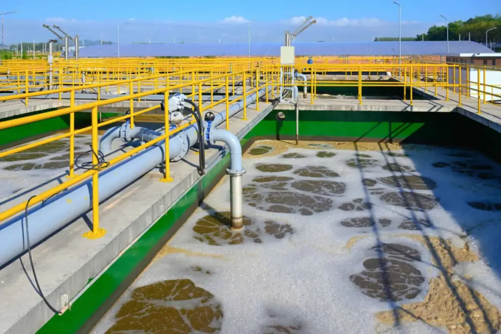Optimizing the performance of sludge treatment and anaerobic digestion plants