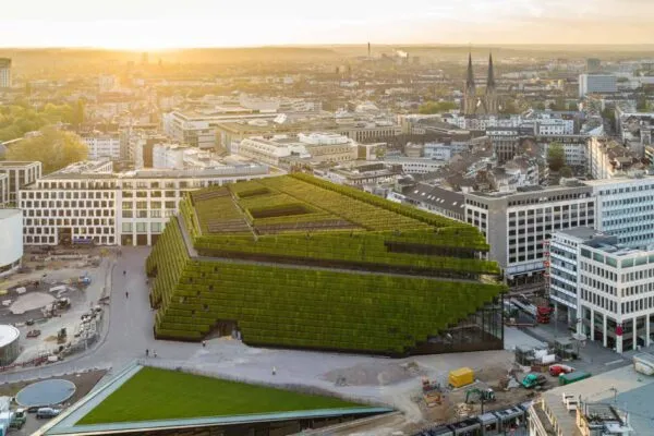 30,000 hornbeams form Europe's largest green facade at Kö-Bogen II in Düsseldorf. Foto: CENTRUM Holding Deutschland GmbH & Co. KG
 | Everything on the right track in the slope