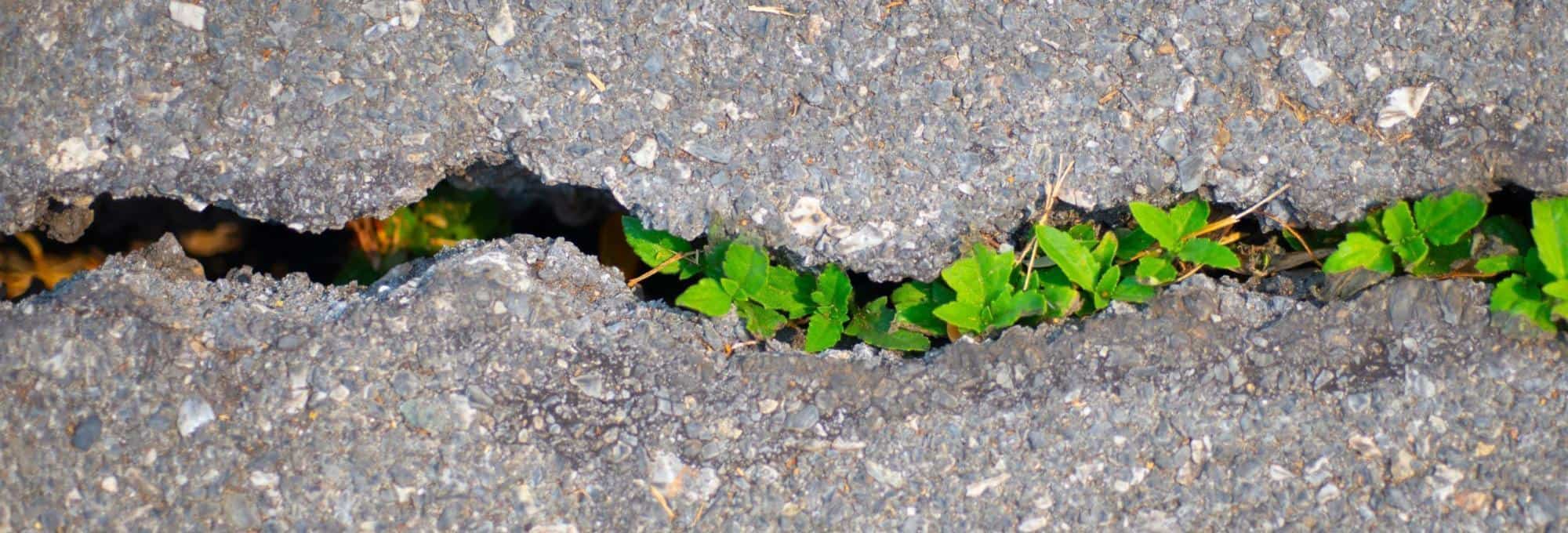 CarbonCure Launches Environmental Product Declaration Service for Concrete Producers