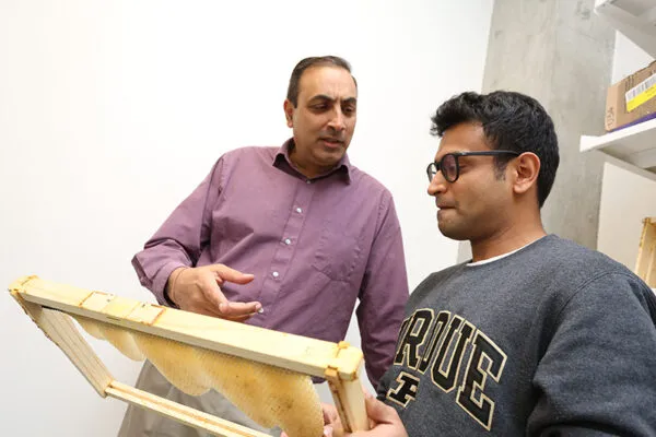 Nikhilesh Chawla, the Ransburg Professor of Materials Engineering at Purdue University, and Rahul Franklin, a graduate research assistant in materials engineering, prepare to examine a honeybee comb sample with a 3D X-ray microscope at the Flex Lab in Discovery Park. Examining the combs has uncovered new techniques used by the bees that could translate into new building concepts. (Purdue University photo/Dave Mason) | Purdue research buzzing about construction lessons taken from bees, honeycombs