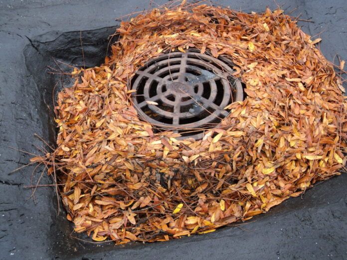clogged-Roof-Drain-1