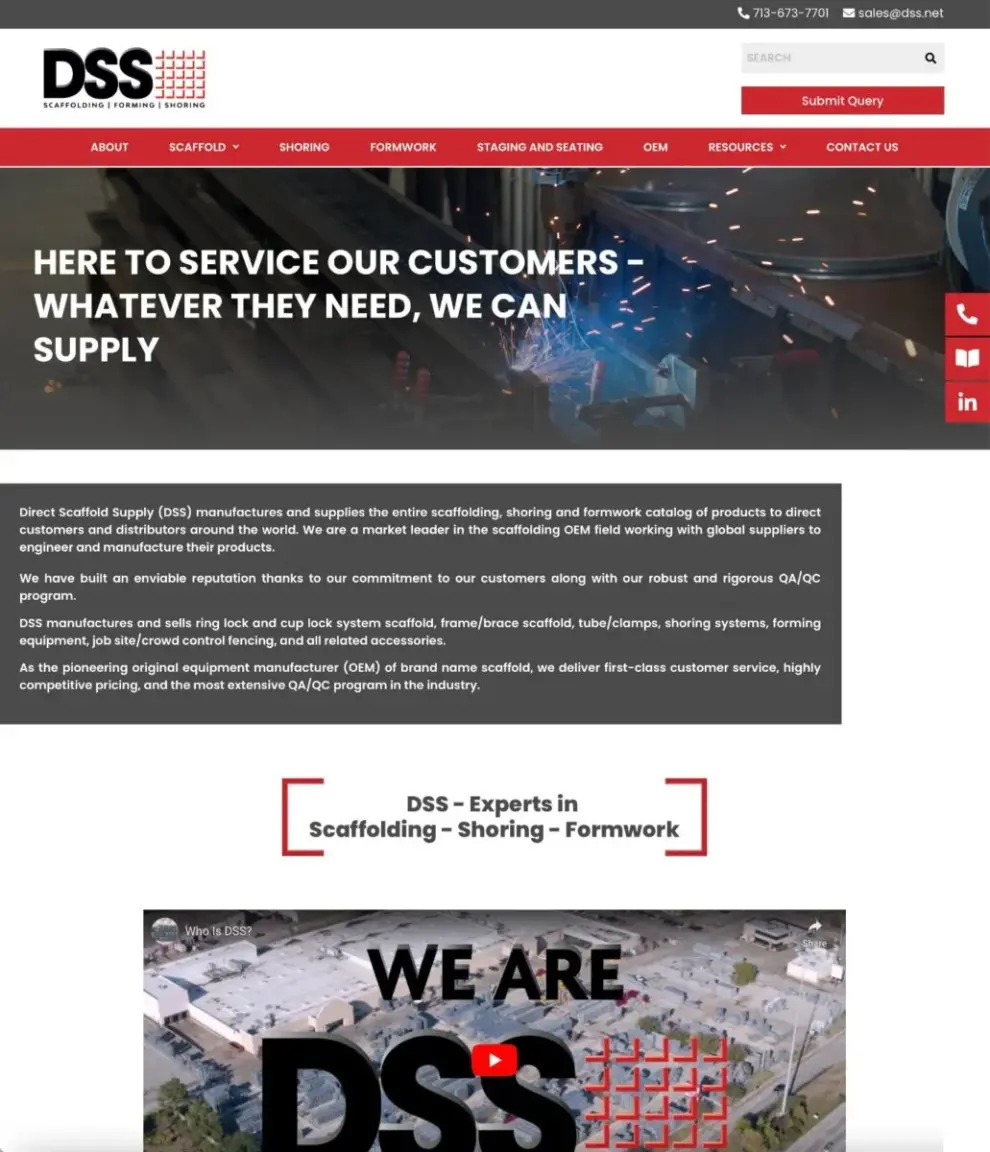 <strong>New Website goes live for DSS</strong>