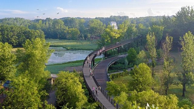 TREETOP TRAIL RAISES MINNESOTA ZOO TO A NEW LEVEL