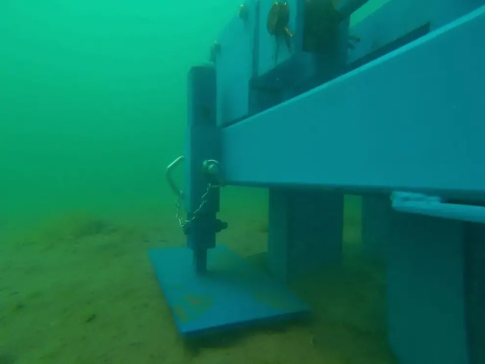 <strong>Automation of Seagrass Planting</strong>