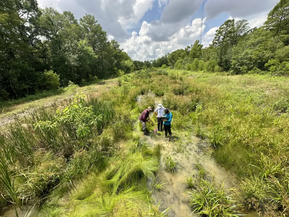 Digitizing Environmental Permitting for Successful Restoration Projects