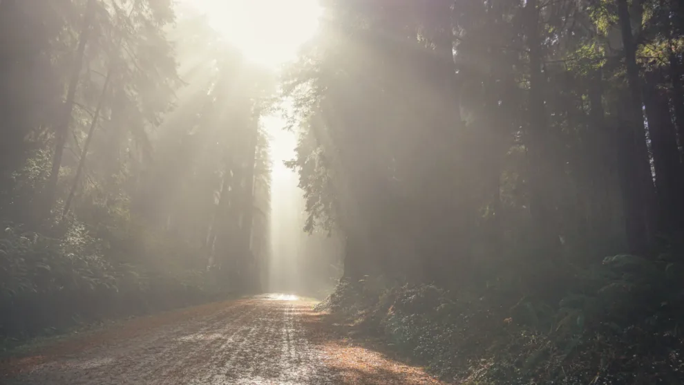 A Patchwork of Progress: US Highway 101